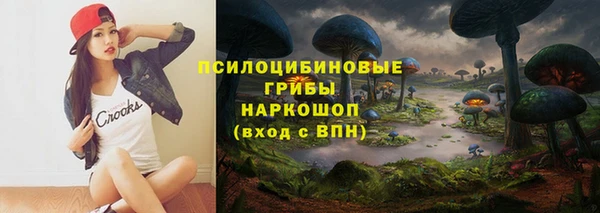 ГАЛЛЮЦИНОГЕННЫЕ ГРИБЫ Богородицк